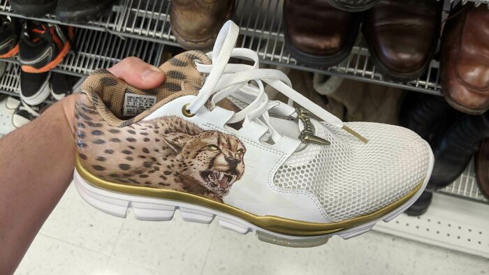 Weird shoe design featuring a white sneaker with a snarling cheetah illustration, displayed on a store shelf.