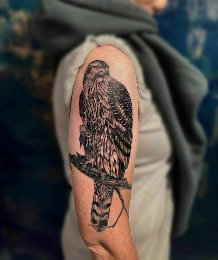 Nature tattoo featuring a detailed hawk on upper arm, symbolizing a connection with the Earth.