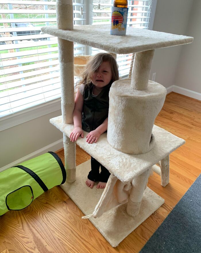 My Friend’s Kid Got Stuck In Our Cat Tower
