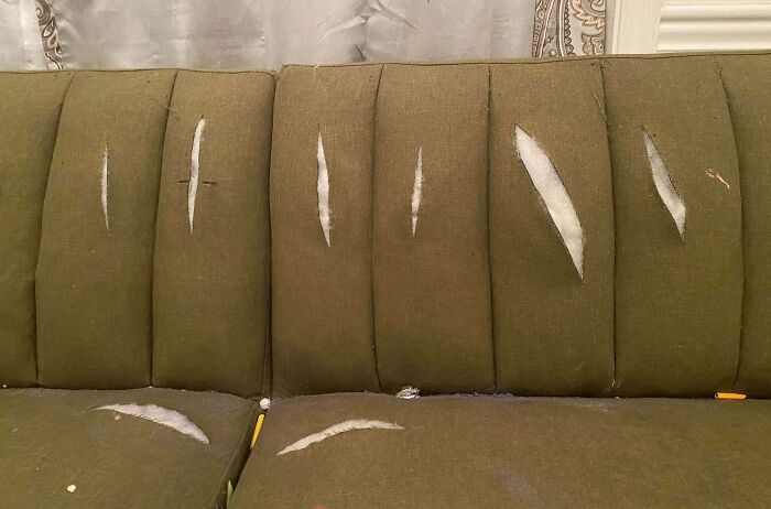 The Kid Wanted To Make Sure The Pliers Were Sharp