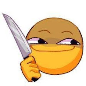 camillefranciscostudent avatar