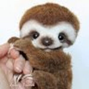 meredithlopez-perez avatar