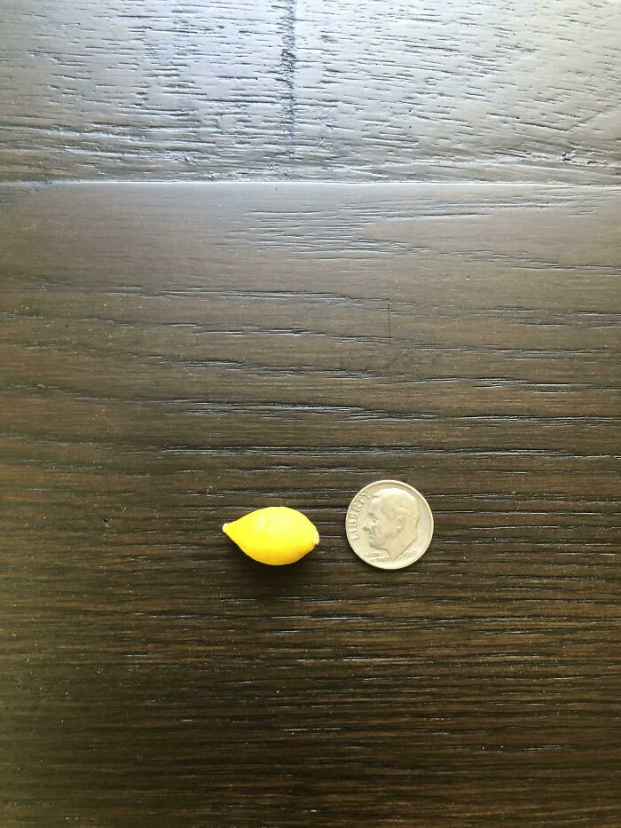 When Life Gives You Lemons…