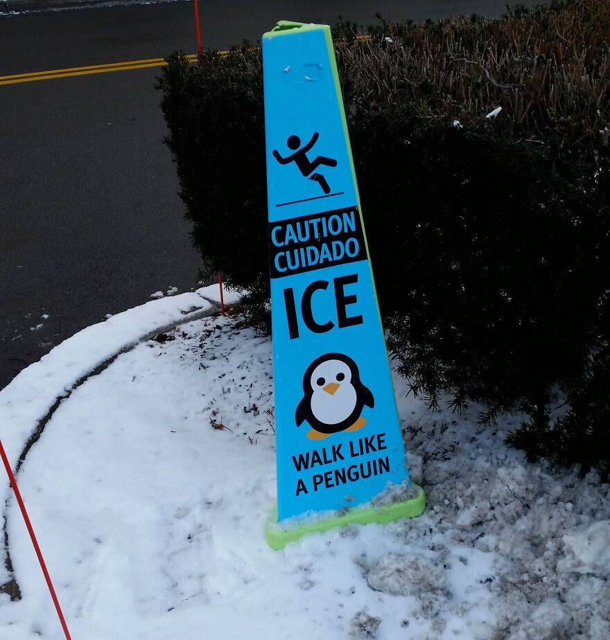 Great Advice. Thanks Wegmans