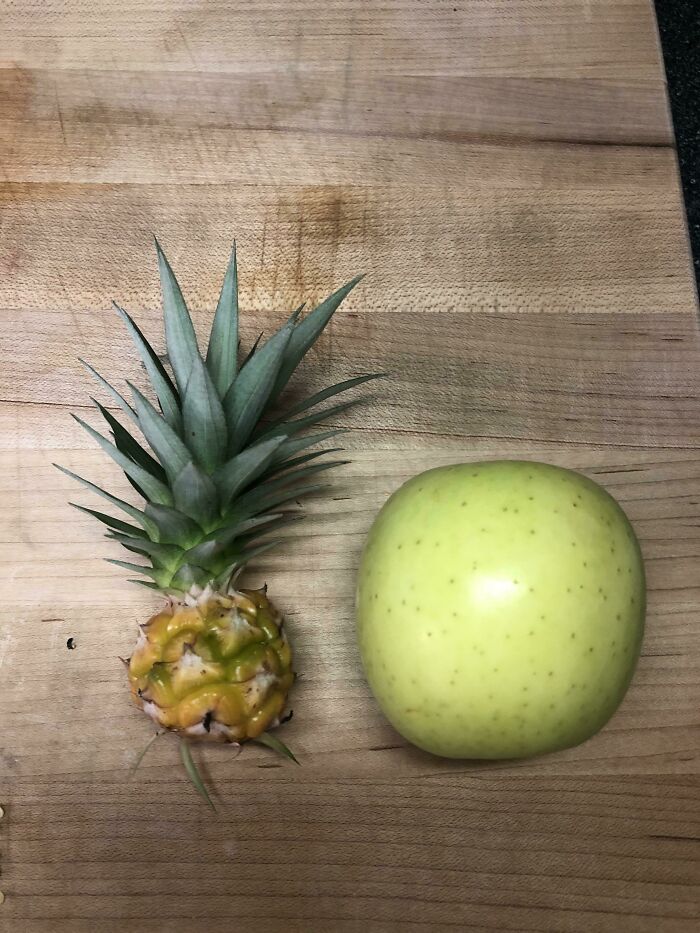 My Mighty Pineapple (Apple For Scale. I Was Out Of Bananas)