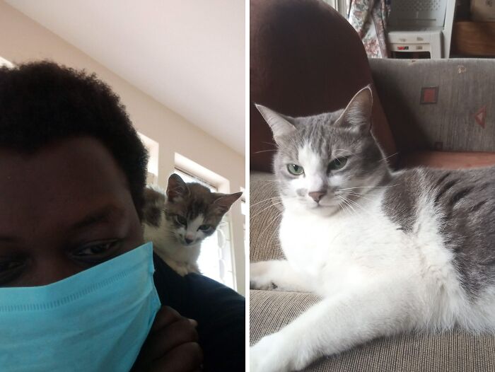 Roosevelt: Jun 2020 And Sep 2022 