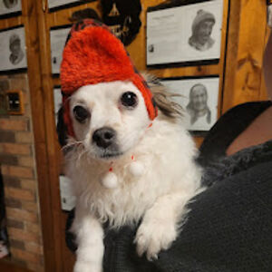 clairwynngenerous avatar