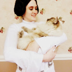 motherofbones avatar