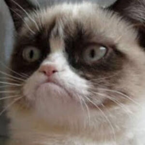 travisharris_1 avatar