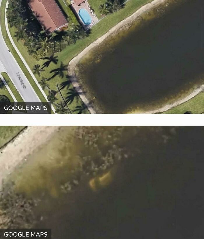 A 40 Year Old Man Went Missing After Night Out. 22 Years Later, A Local Man Was Looking On Google Maps And Spotted A Car In The Lake. When The Car Was Searched, The Missing Man’s Skeletal Remains Were Found Inside