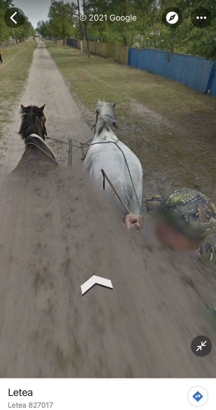 In Letea, Tulcea, Romania, Google Maps Car Was Actually A Carriage