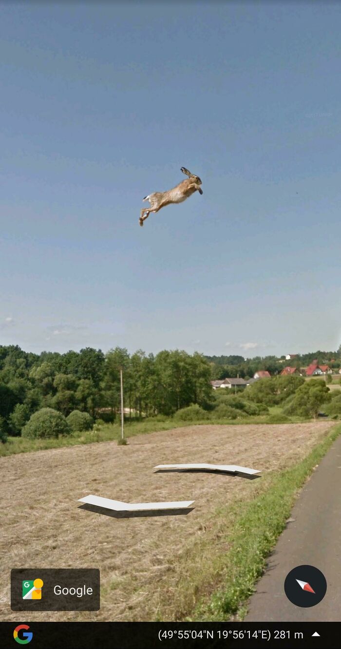 It's A Bird, It's A Plane, It's A... Flying Rabbit In Poland?! 49.9179962,19.9373255