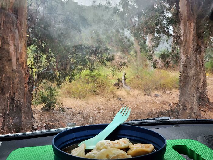 View From My Camper Looks Like A Painting