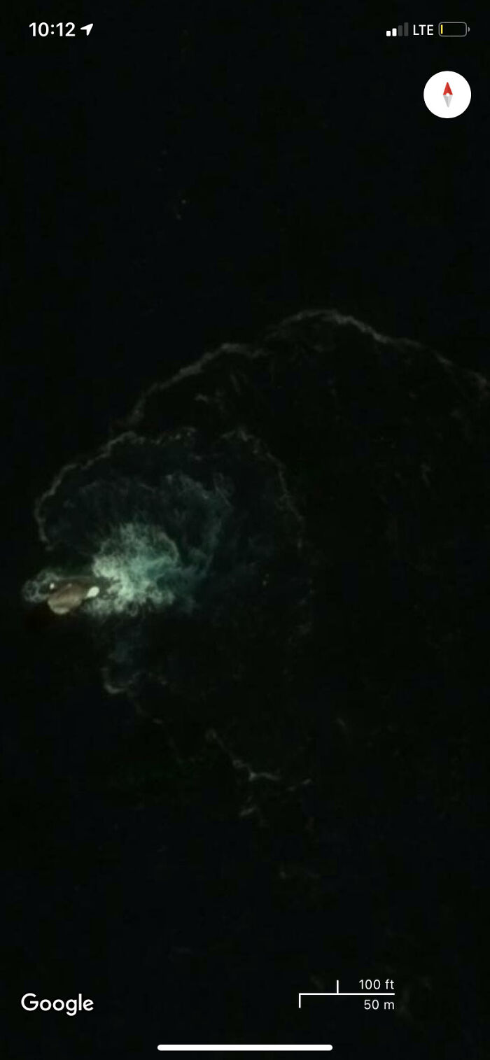 Giant Whale? Kraken? Cthulu?