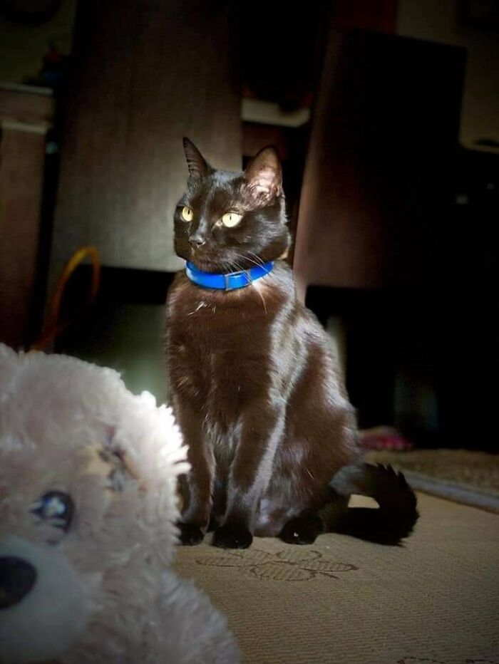 My Beautiful Void! I Can't Stress Enough How Much I Love Her!