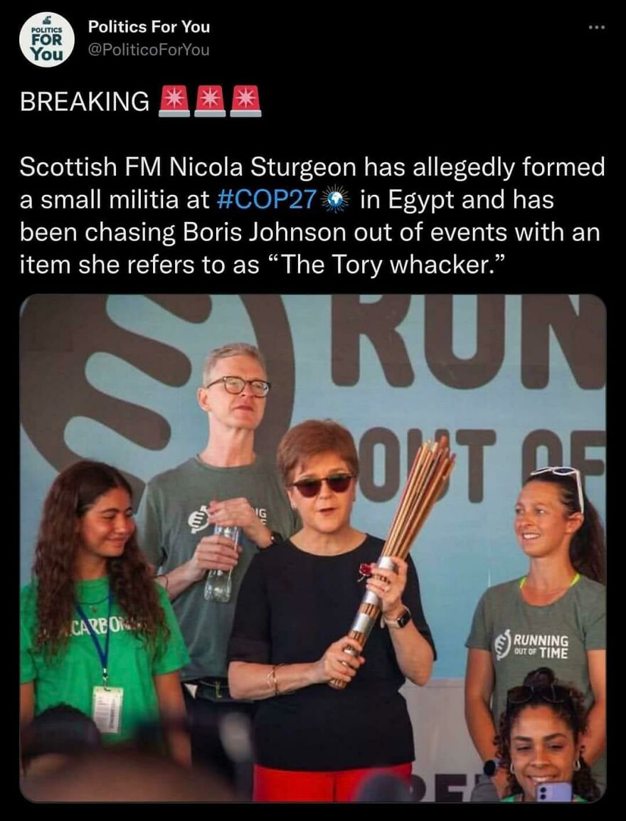 The Tory Whacker The Tory Whacker