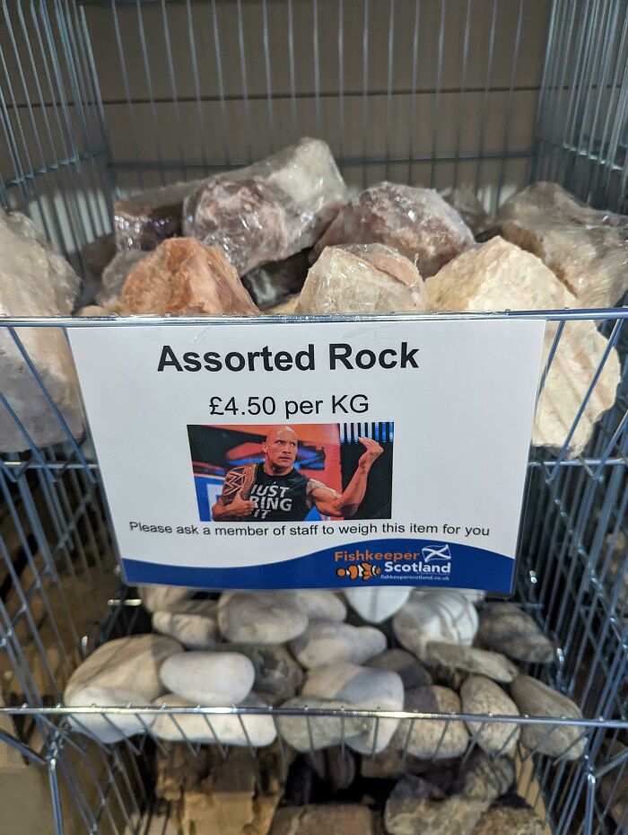 Local Pet Shop Patter