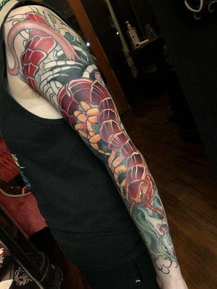 Colorful snake tattoo sleeve with intricate details on a person's arm.