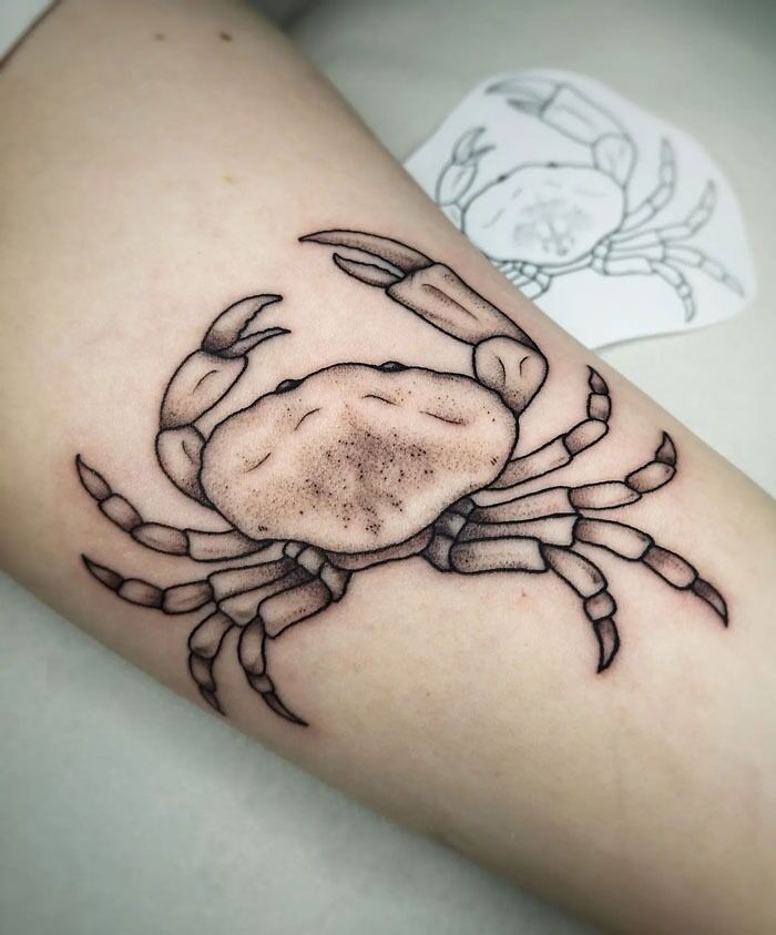 Crab animal tattoo design on forearm with detailed shading.