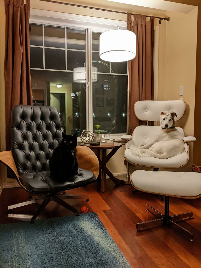 Hers And Hers Lounge Chairs