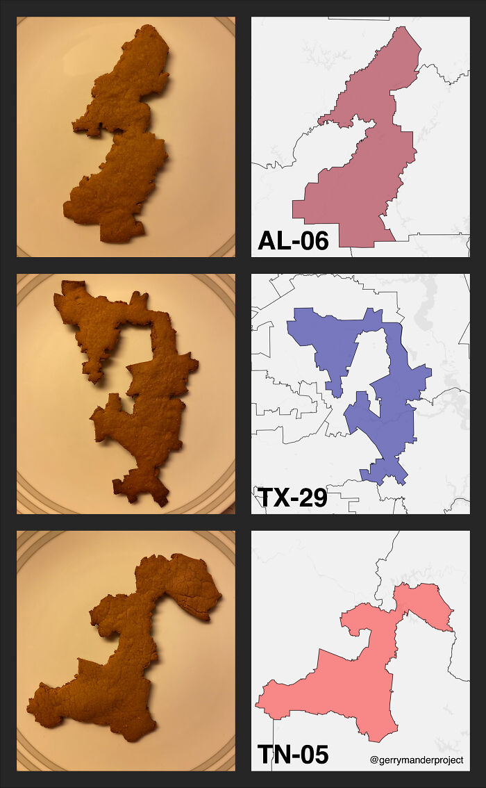 I Made Gingerbread Cookies In The Shape Of Congressional Districts!