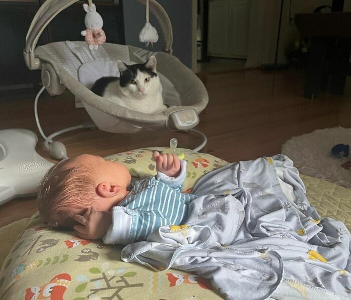 Big Brother Babysitting