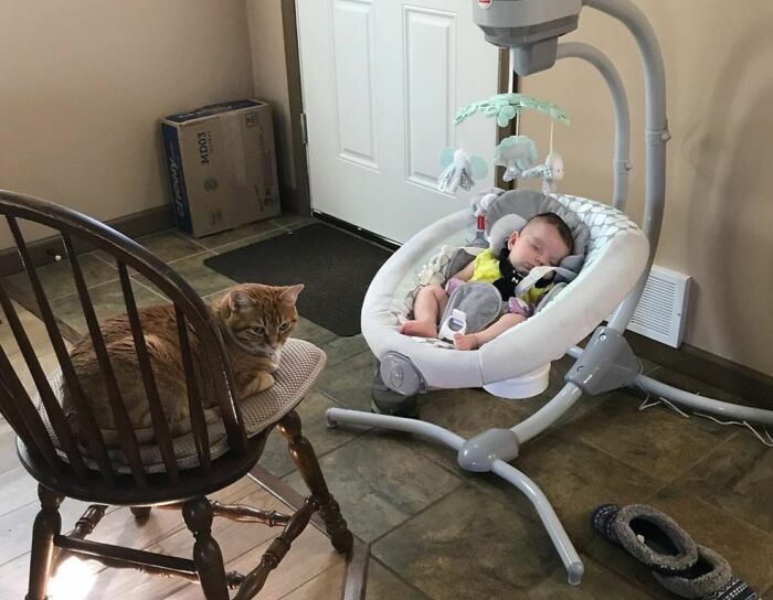 Of Course, My Full-Time Job Is A Professional Napper And Treat Eater, But I Offer Babysitting Services On The Side