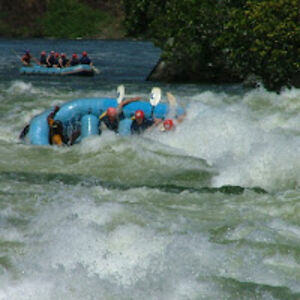 eleanorfreese avatar