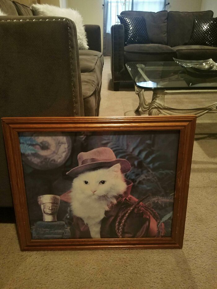 Siendo la novia, tengo la tarea de decorar nuestro nuevo hogar