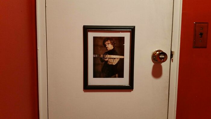 Mi novia me dejó decorar el baño de invitados. Ahora, esta es la vista desde el retrete