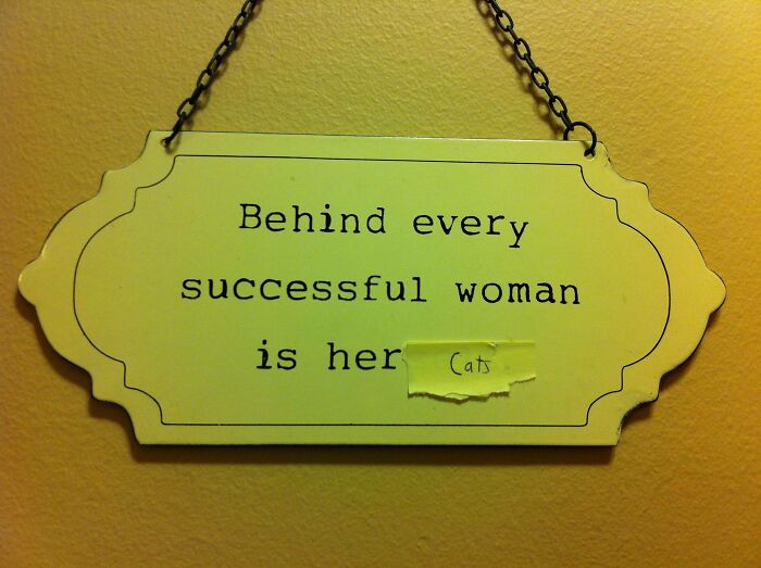 I Too Like To Update My Girlfriends Decorative Signs