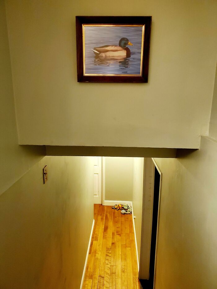Everyone Kept Hitting Their Heads As They Walked Down My Stairs, So I Hung A Sign As A Warning