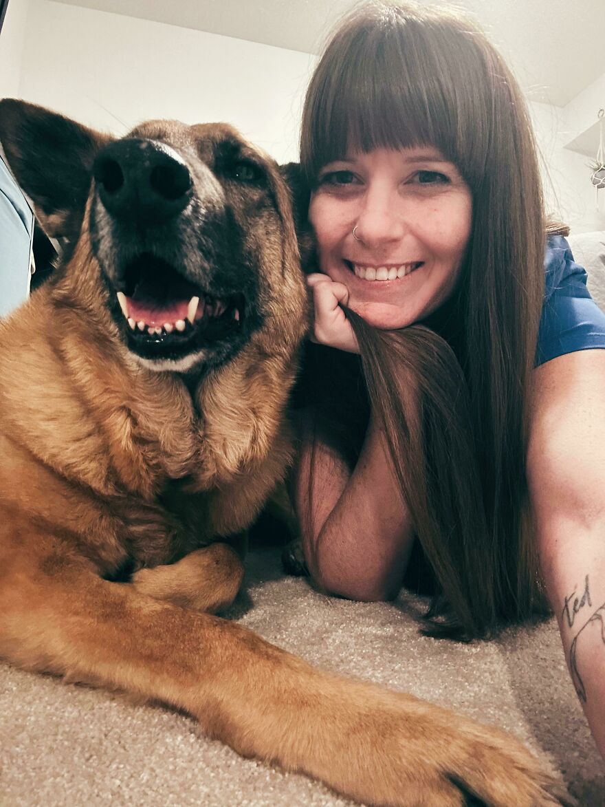 close-up view of a dog and its owner