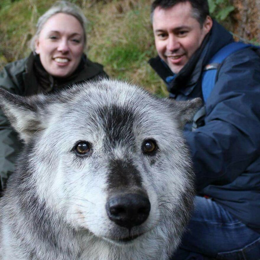 close-up dog's face on the background of his owners