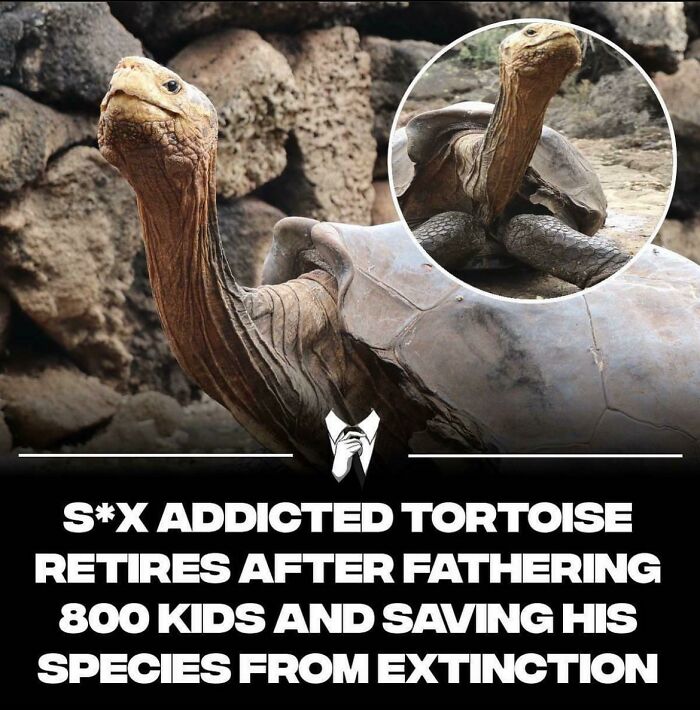 Enjoy Retirement King