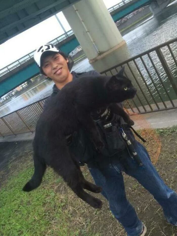 This Massive Boi A Japanese Fisherman Found