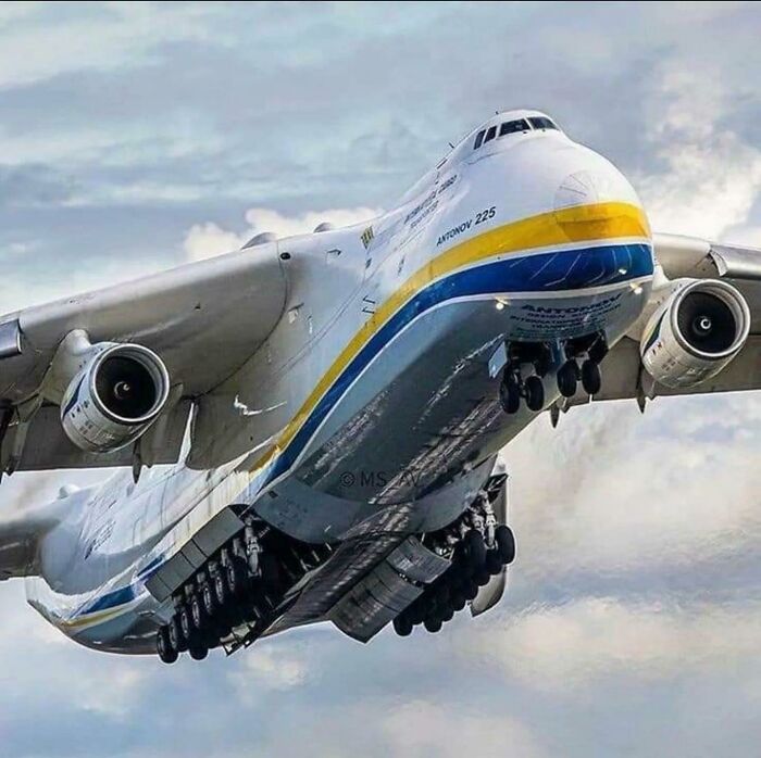 Absolute Unit Of A Plane