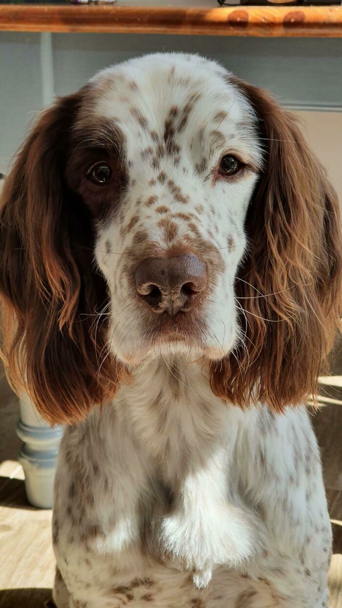 Hope This Older Gentleman Is Welcome Here