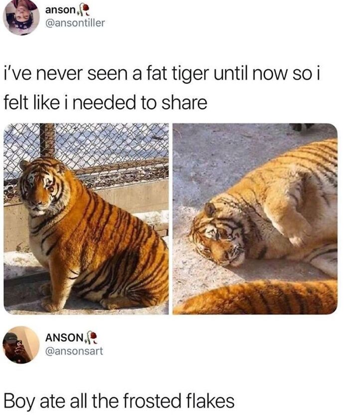 Big Boi Tiger