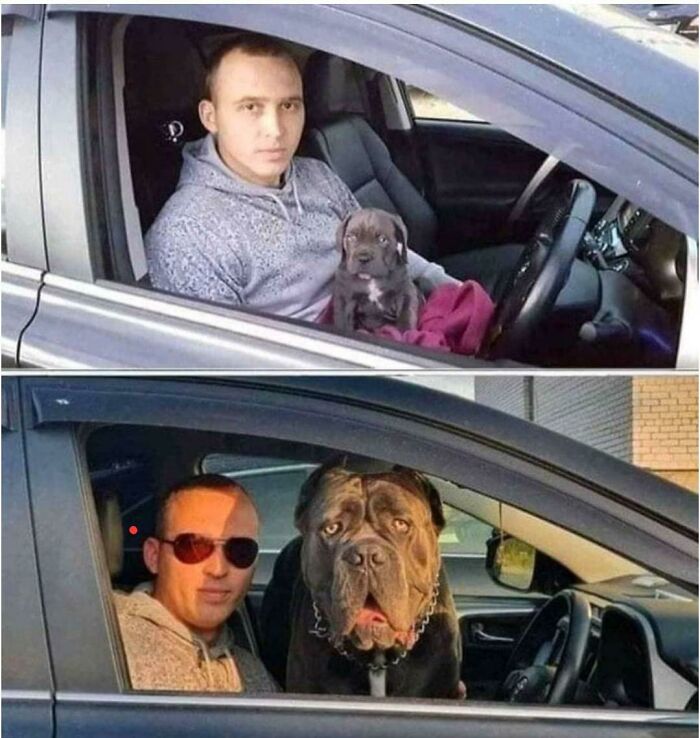 Tiny Boy Turns Into Absolute Unit