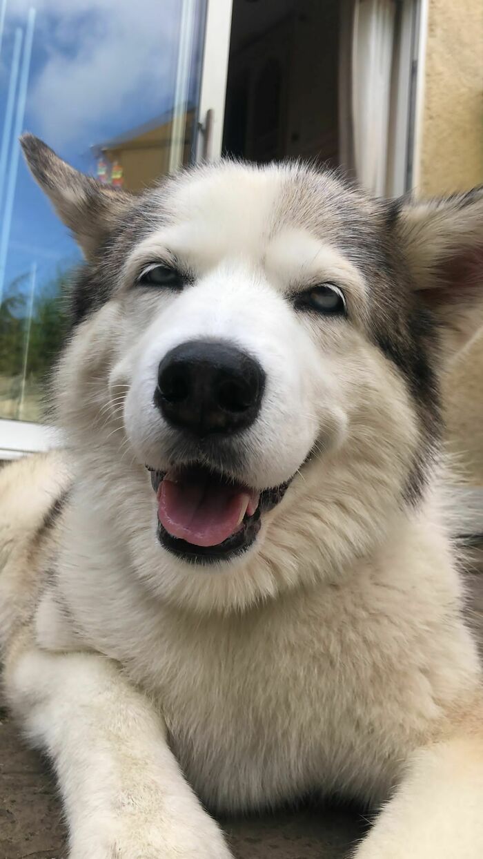 The Older She Gets, The Happier She Is