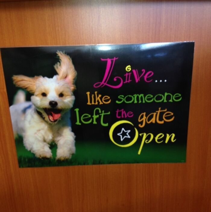 So My Mom Is A 1st Grade Teacher And I Helped Her Decorate Her Room. By Far My Favorite Poster