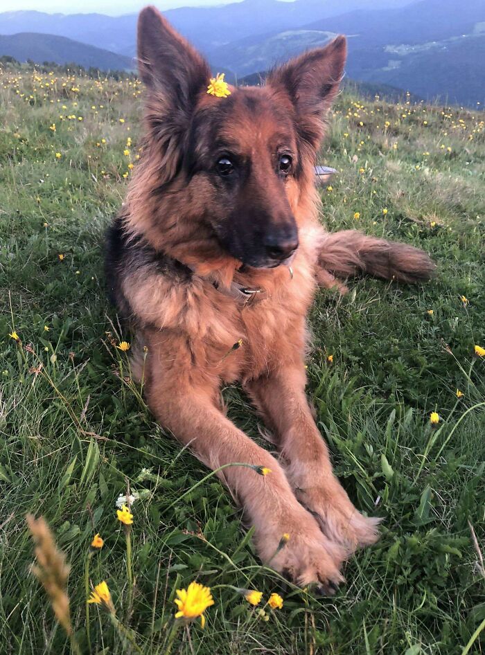 My 10 Year Old Girl Still Like To Be The Cutest