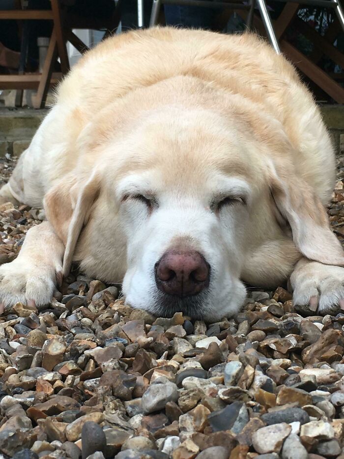 My 14 Year Old Boy, I Still Think He’s Cute!