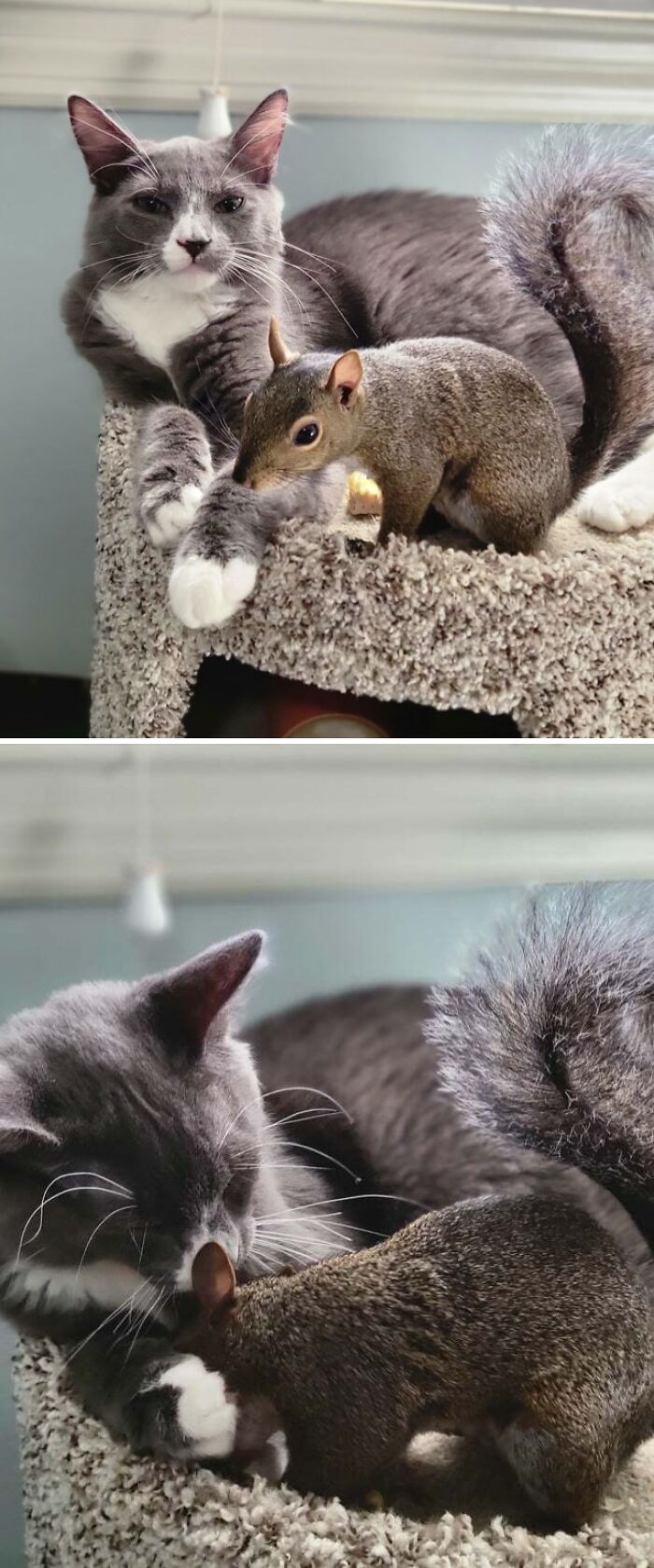 Butter And Jack Are Best Friends