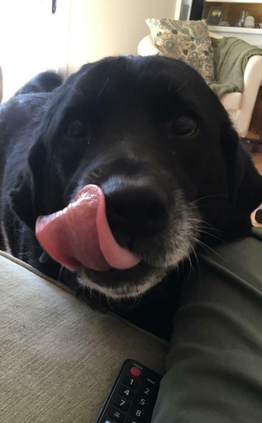 She's A Senior Citizen But Still A Cutie