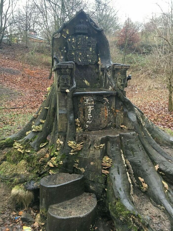 This Tree Trunk Chair I Found In Kendall, England