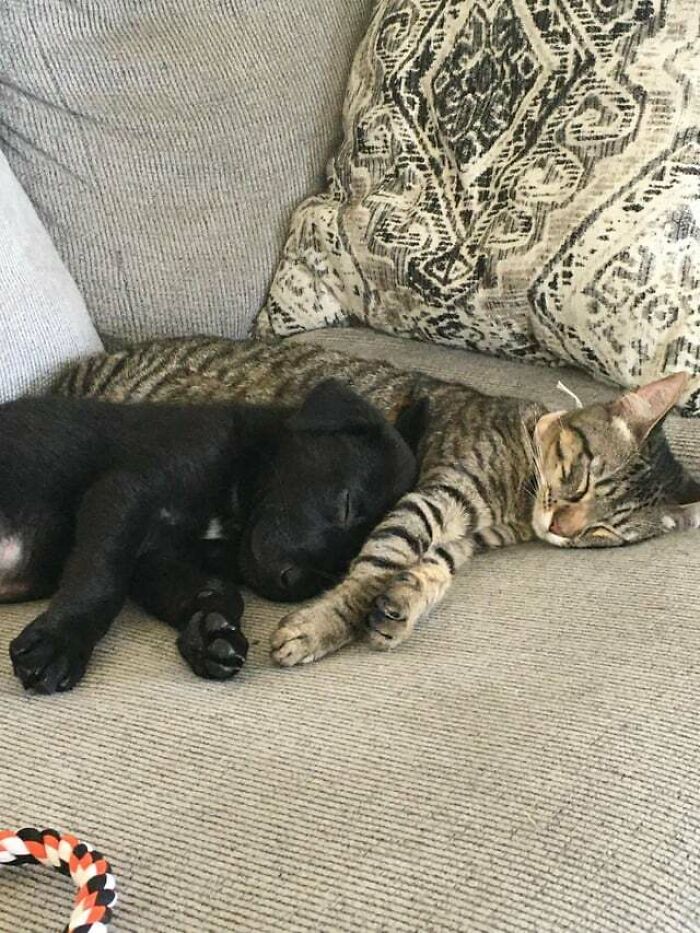 Immediately Accepted