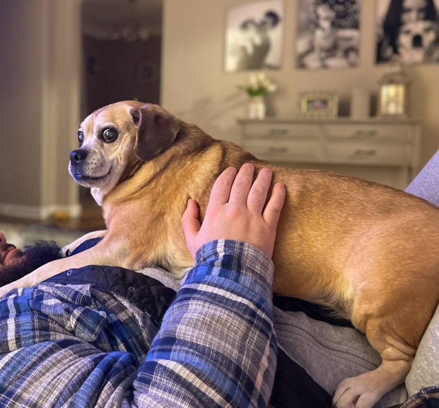 My Humans Are Obsessed With Me