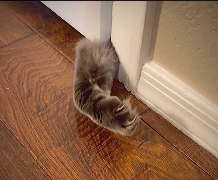 He’s Threatening To Take My Door Off The Hinges